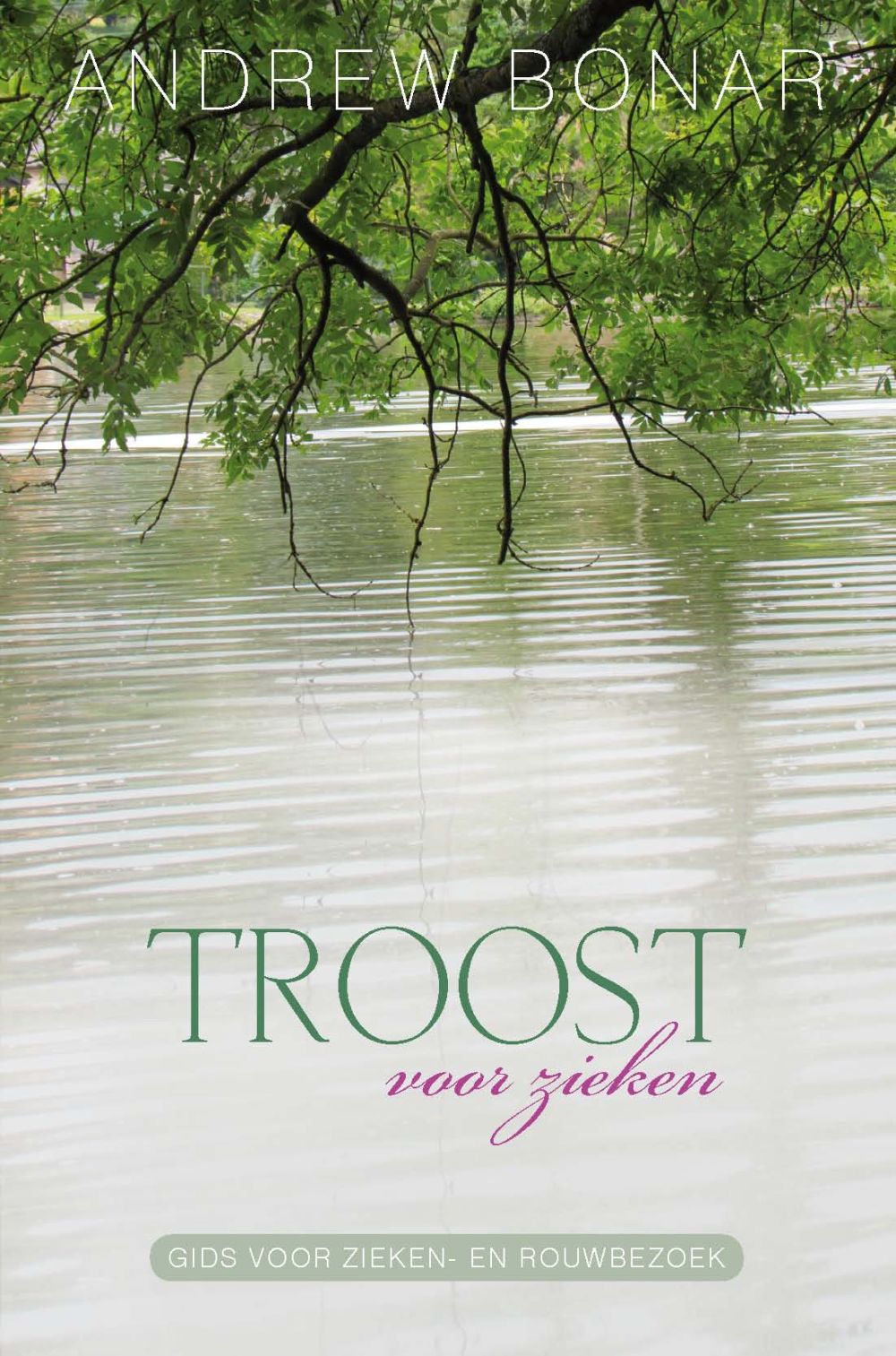 Troost voor zieken; E-book